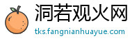 洞若观火网